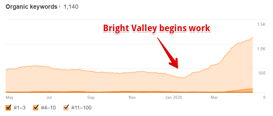seo results
